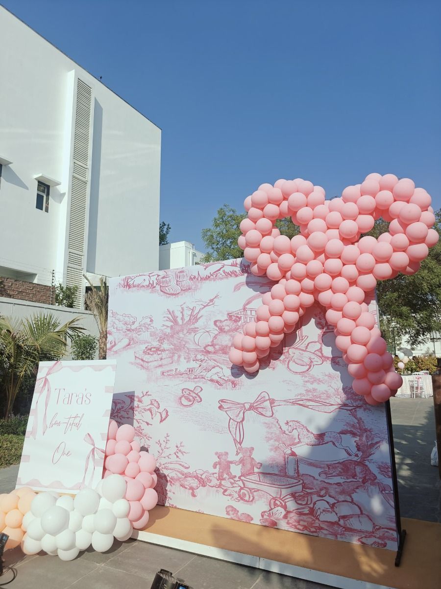Ballerina Bunny Fantasy Setup
