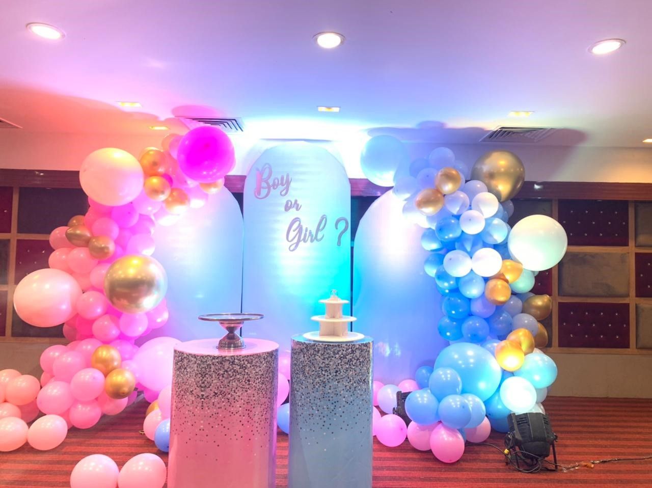 Splendid Pink & Blue Panel Baby Shower Theme  Decor