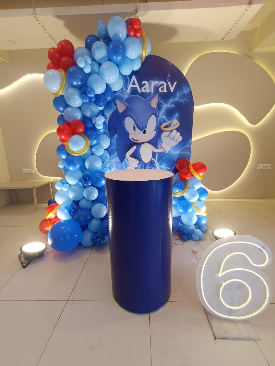 Aarav’s Sonic Adventure