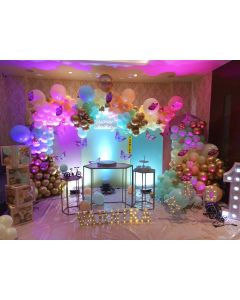 Speechless Butterfly Theme Decoration