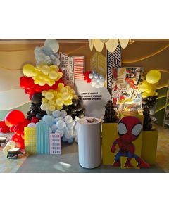 Amazing Spiderman Theme Birthday Decoration
