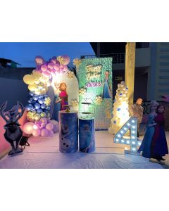 Birthday frozen theme decor