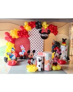 Miraculous Disney Theme Birthday Decoration