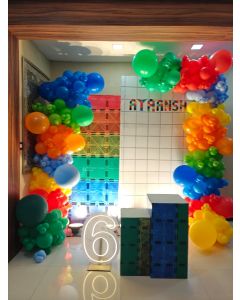 Ayansh’s Color Block World Setup