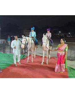 Horse Ride for parties