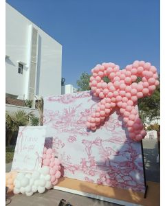 Ballerina Bunny Fantasy Setup