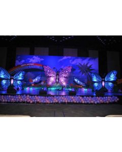 Butterfly 3D Theme Decoration Service in parities