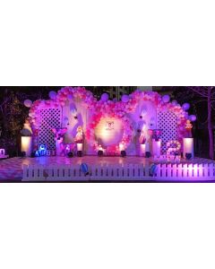 birthday stage decoration
