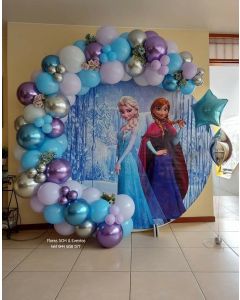 frozen theme party decoration
