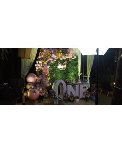 butterfly theme decoration