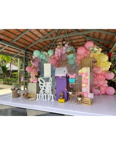 butterfly theme decoration