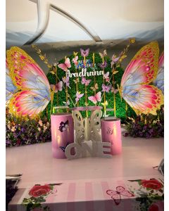 butterfly theme decoration