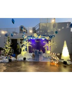 Euphoric Winter Theme Decor