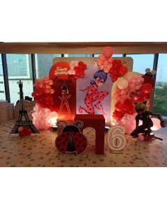 Miraculous Cat Noir & Ladybug Fiesta