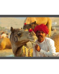 Camel Ride in parties