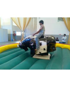 Bull Ride Service in parities