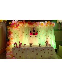 Netted Cloth with back lights organic arch