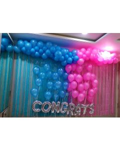 Foil backdrop with pink and Blue balloons