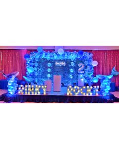 Dolphin theme birthday decoration