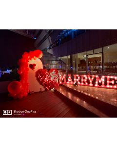 Marry me Letters with white panel red glitter heart shape and red organic arch