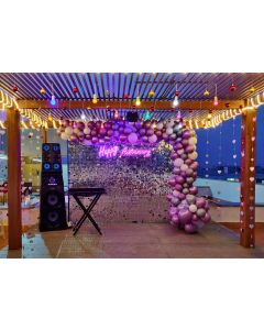 Silver glitter backdrop with lavender shades balloon arch