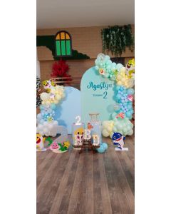 baby shark theme decoration
