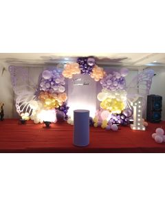 Beautiful Butterfly-themed birthday decoration