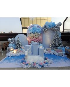 Nordic Polar Paradise Birthday Celebration