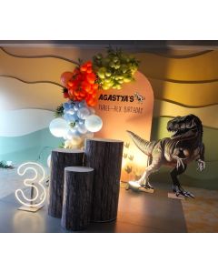 Agastya's Three-Rex Birthday Decoration