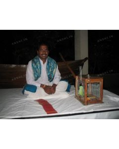 Parrot Astrology Live Stall Service in parities