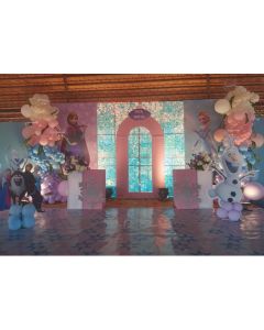 Frozen Memories Unveiled