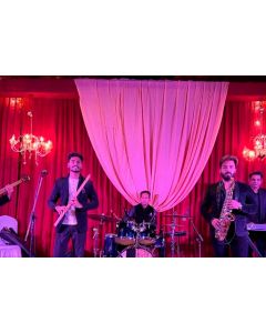 Live Instrumental Music Show service parties