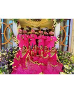 Punjabi Dance group in functions