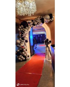 Spectacular Red Carpet Birthday Decoration
