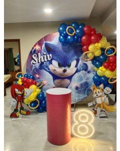 Sonic Hedgehog Theme Decoration