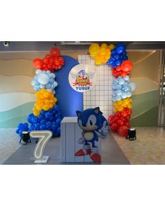Embellishing Sonic Theme Decoration