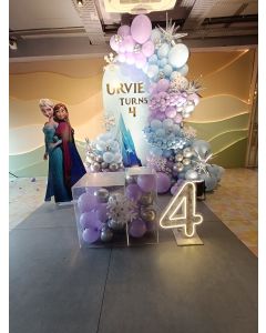 Frosty Frozen Fun Birthday Decoration