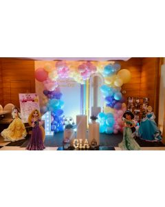 Mesmerizing Disney Princess Theme Decoration