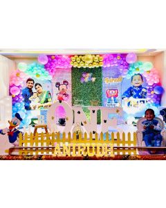 Disney Delight Birthday Decoration