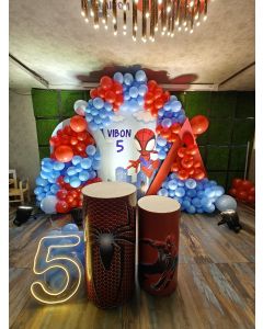 Web-Slinger  Birthday Celebration