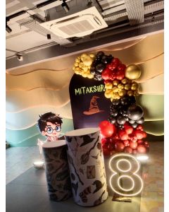 Magical Hogwarts Celebration