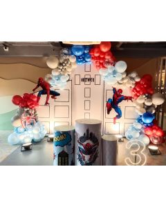 Spidey’s Birthday Swing