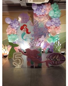 Ariel’s Lagoon Birthday Bash