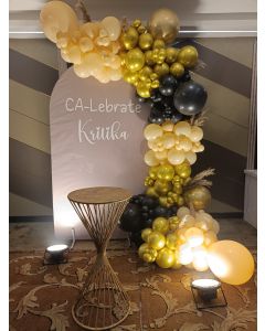 Elegant Balloon Arch Setup for Celebration