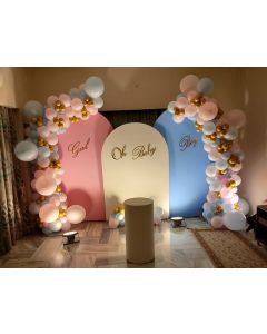 Sophisticated Baby Reveal Backdrop